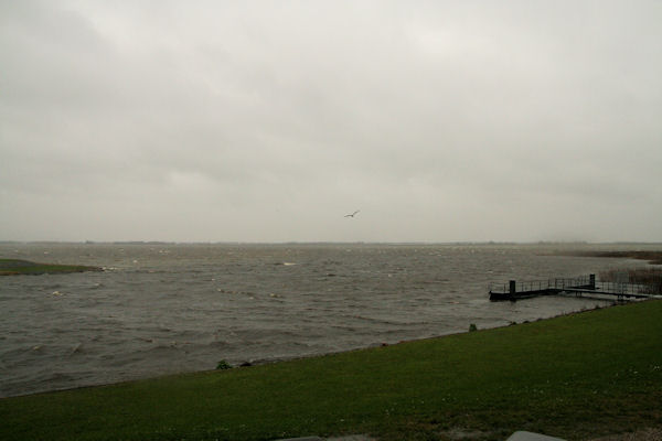 Bestand:Aan IJsselmeer a.jpg