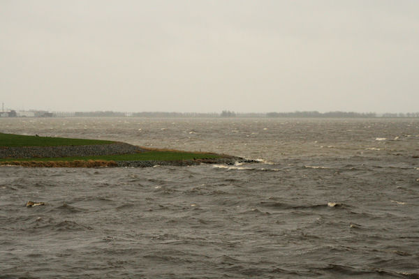 Aan IJsselmeer c.jpg